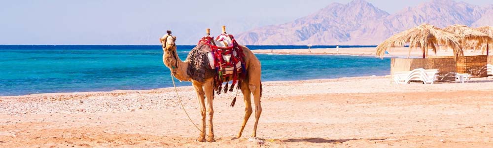 Red Sea Excursions - Trips in Egypt